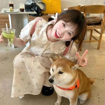 不砍梅树的傻瓜