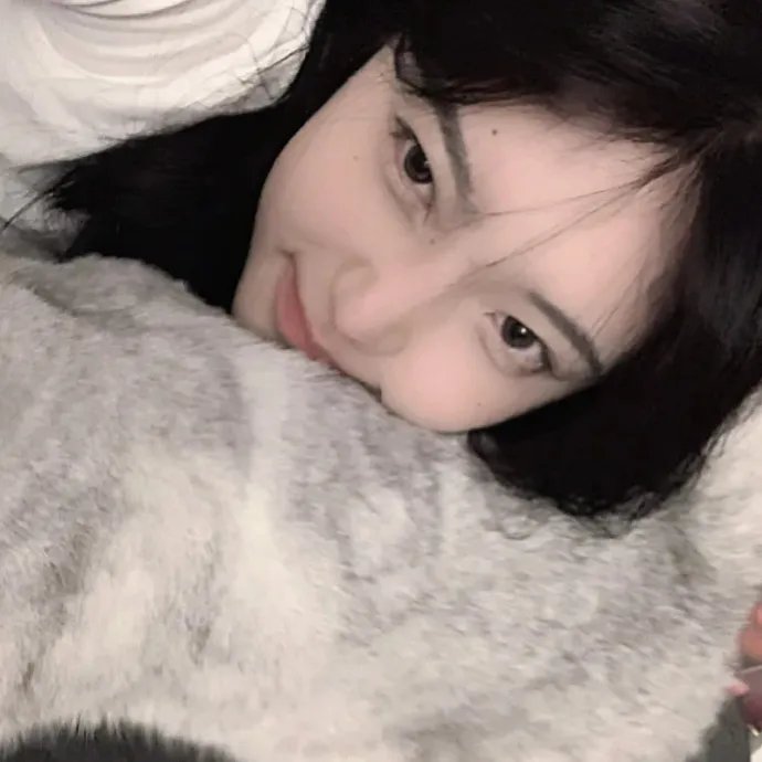 内战圣伯纳犬